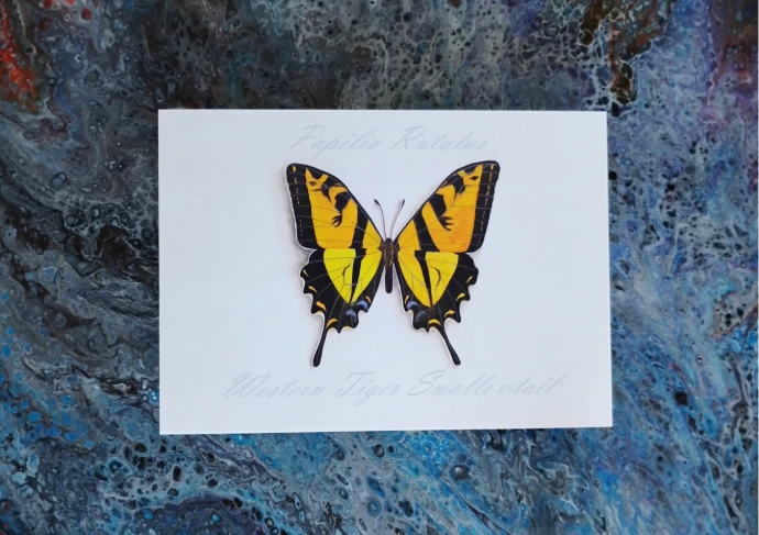 Western Tiger Swallowtail Butterfly Print