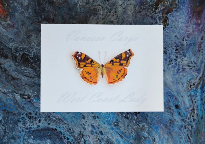 West Coast Lady Butterfly Print