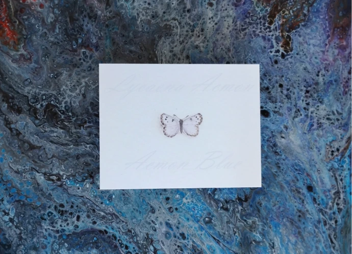 Acmon Blue Butterfly Print